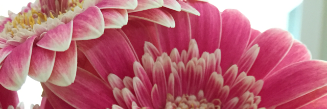 Cover image for post Distorted Engagement, by Akite