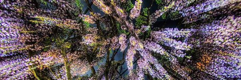 Cover image for post Popular Theories, by Biochicklet