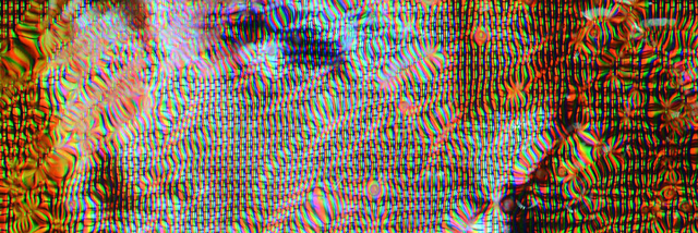 Cover image for post Distort Your Face, by LillyZ