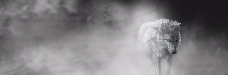 Cover image for post Depression Fog, by healingrosemagi