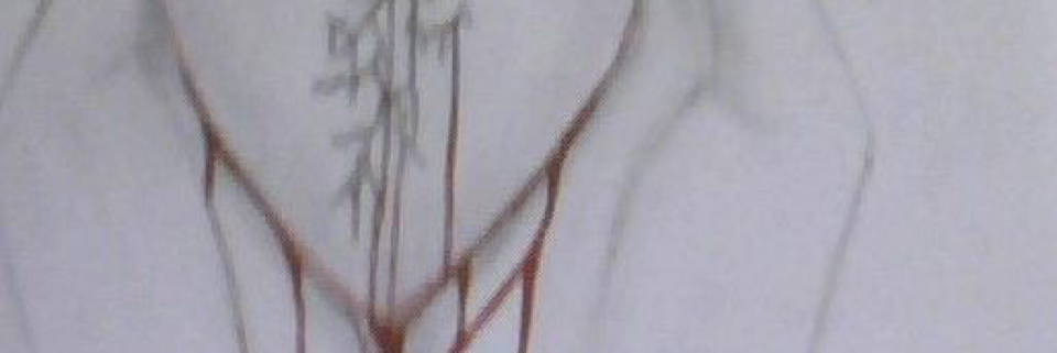 Cover image for post All heartbreak is not eternal, by Vyxyn