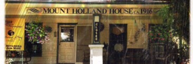 Cover image for post The Holland House, by NaomiRuthRutile