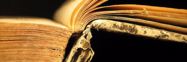 Cover image for post neglection., by _xofiona