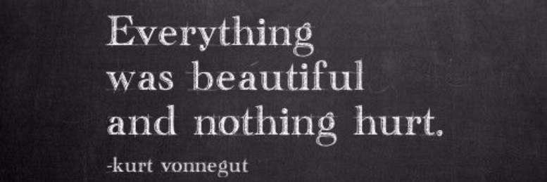 Cover image for post Everything was Beautiful, and Nothing Hurt, by JazzyHippo