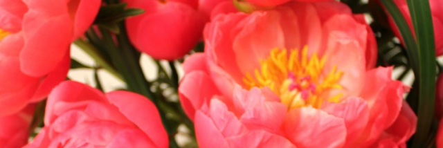 Cover image for post I Wish I Could Convince Her, by RCMair