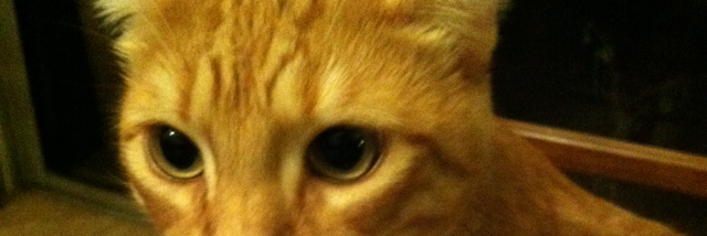 Cover image for post Home, by Karlacaldera