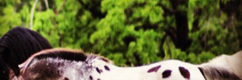 Cover image for post Breath of God, by Vyxyn