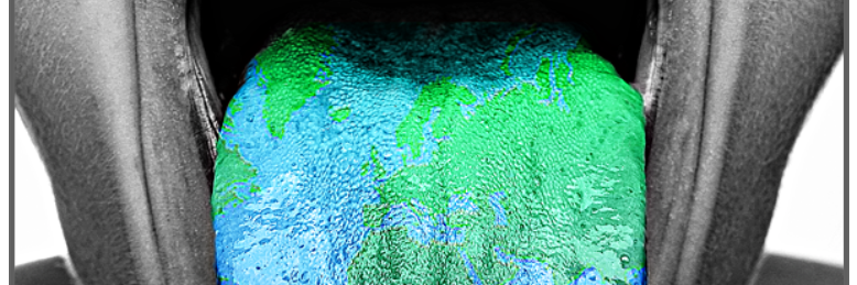 Cover image for post Empty Pages, by JustBear