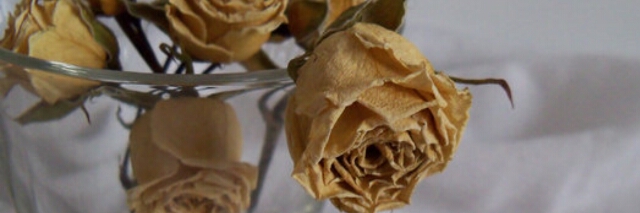 Cover image for post Smiles, by OnlyRam