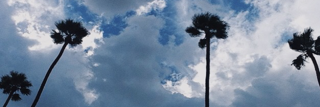 Cover image for post Countdown, by yasminemeshel