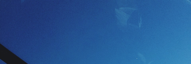 Cover image for post Giving Up, by yasminemeshel