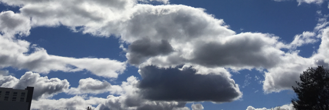 Cover image for post Trying Not to Have Bad Thoughts on Good Friday, by ZCarpediem