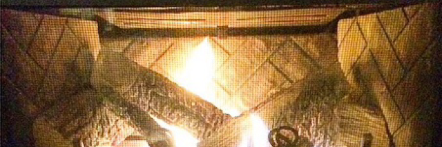 Cover image for post moonlight, by paintingflowers