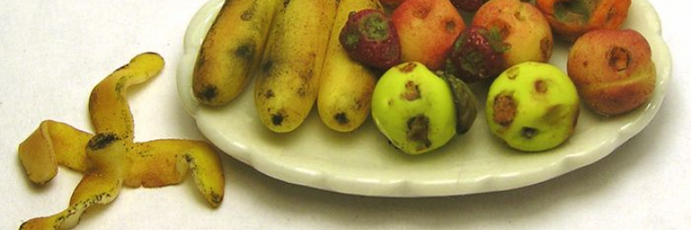 Cover image for post Rotten Fruit, by sandflea68