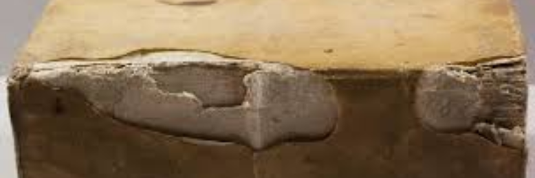 Cover image for post Where Did He Go?, by sandflea68