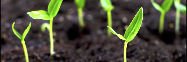 Cover image for post a glimpse of you reveals, by themanmoth