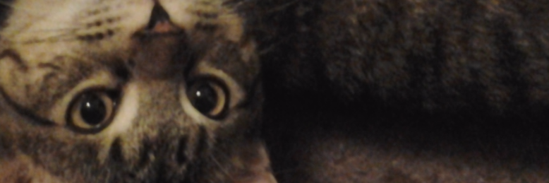 Cover image for post Untitled, by VixieJay