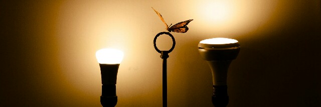 Cover image for post Q&A, by ISO