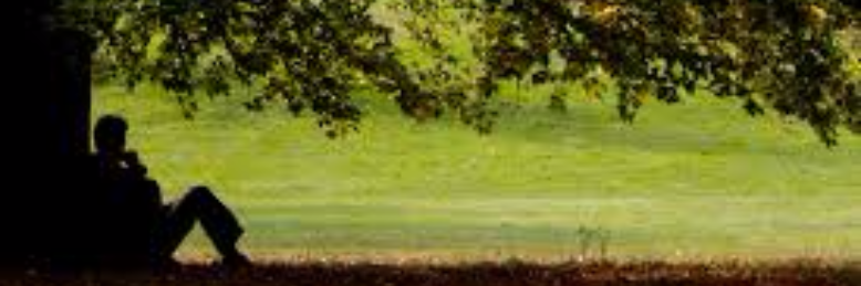 Cover image for post God's Creation, by Victoria32