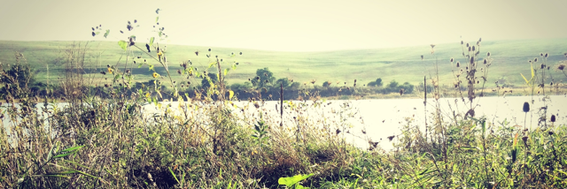 Cover image for post Wishful Thinking, by CladiusWhite