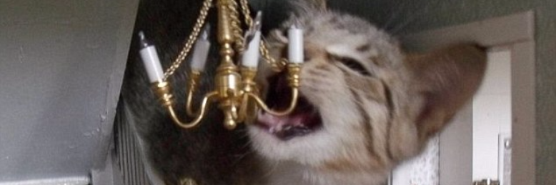 Cover image for post Eulogy, by manto