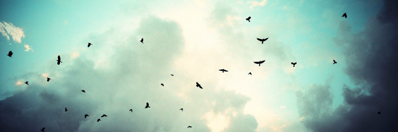 Cover image for post The Girl Who Saw Him, by Day_Dreamer