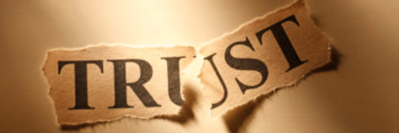 Cover image for post You Asked, by starvingartist