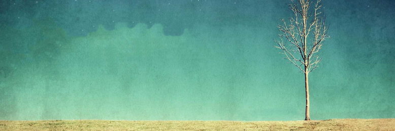 Cover image for post The Girl Who Saw Him, by Day_Dreamer