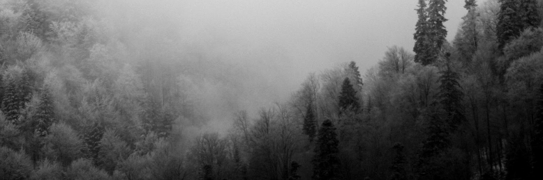 Cover image for post The Girl Who Saw Him, by Day_Dreamer