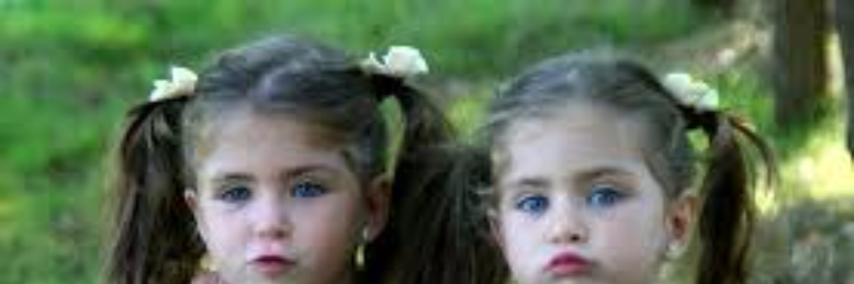 Cover image for post My best friend Integrity, by SunceraySalazar