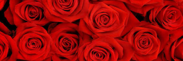 Cover image for post a date with fiction., by galaxyy