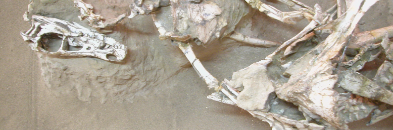 Cover image for post The Fighting Dinosaurs, by Harry_Situation