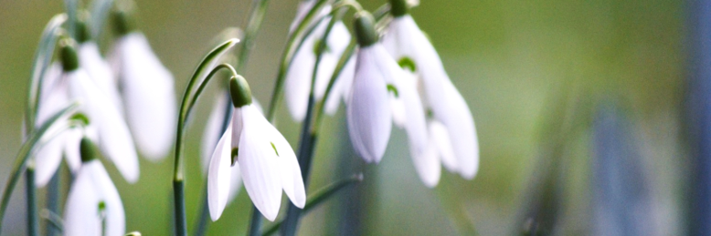 Cover image for post Untitled, by JJMalchus