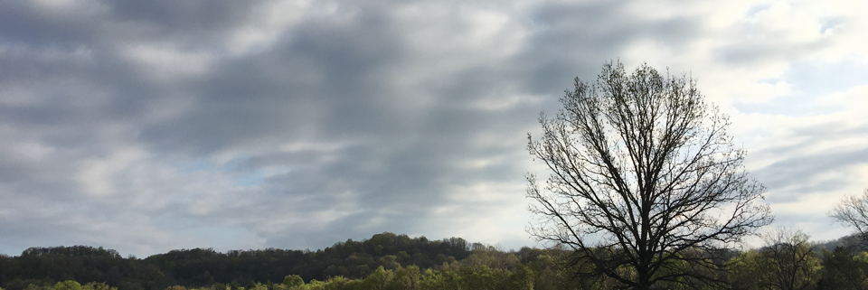 Cover image for post Just before I fall asleep ..., by ALifeWitArt