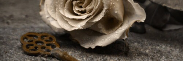 Cover image for post Moved On, by monia_said