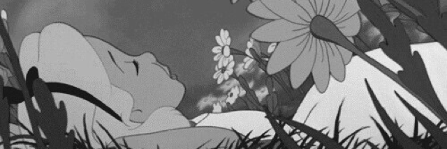 Cover image for post Still Young, by monia_said