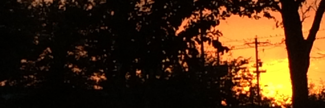 Cover image for post Life, by MeganDaGata