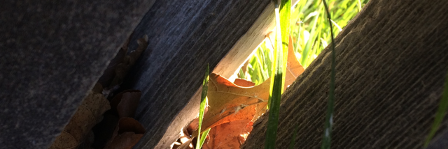 Cover image for post Untitled, by Rev_Frenchie