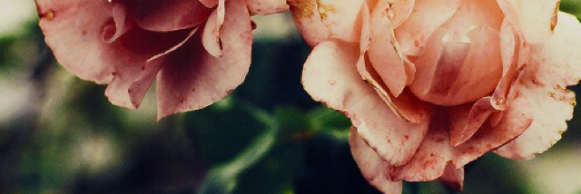 Cover image for post Ready, by monia_said