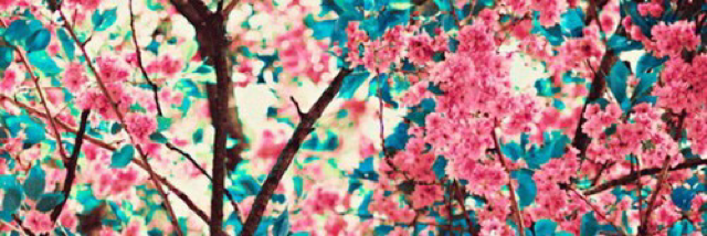 Cover image for post Nobody knows what it hides.., by monia_said