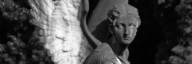 Cover image for post Fallen, by _Antaric_