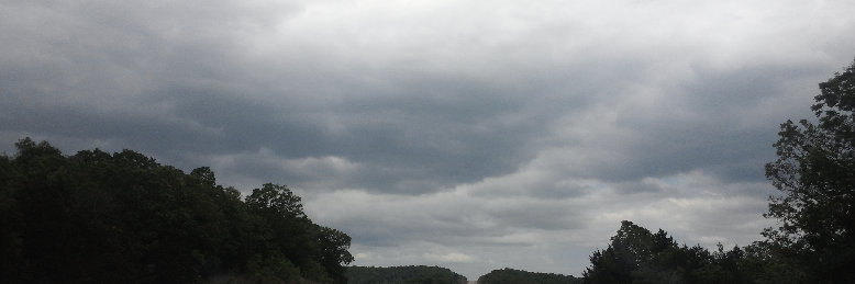 Cover image for post The Numbness Lied, by erinlg57