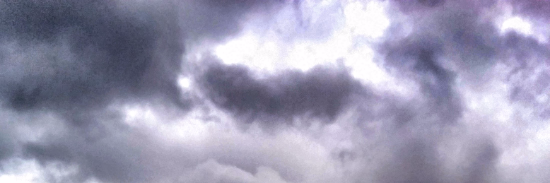 Cover image for post Purpose, by AshenRose