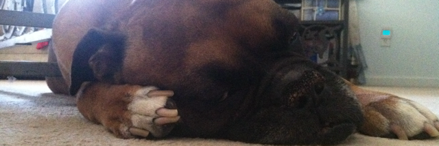 Cover image for post Savage, by Winter_Heart