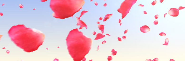 Cover image for post Woes of a Dull Rose, by KaineM