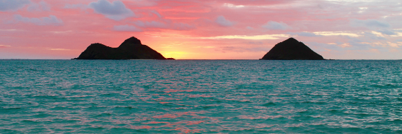 Cover image for post saline emotion, by twill