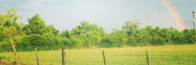 Cover image for post Hope is the..., by MeganDaGata