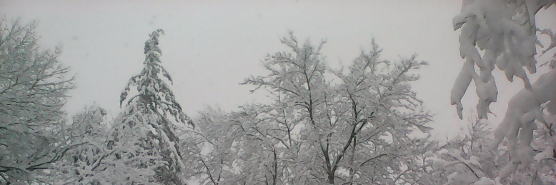 Cover image for post Dear Lord,, by JessVand2016