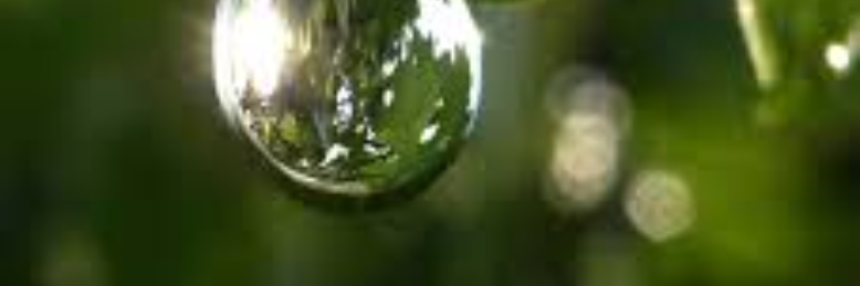 Cover image for post Dancing Sprinkles of My Past, by sandflea68