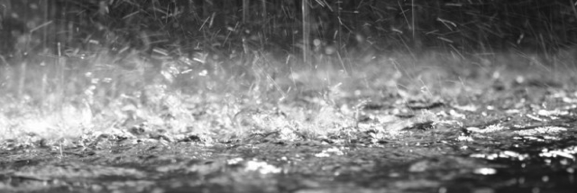 Cover image for post "Cogito ergo sum"- René Descartes, by Rev_Frenchie